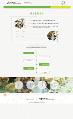 返林散養雞官網設計效果圖展示